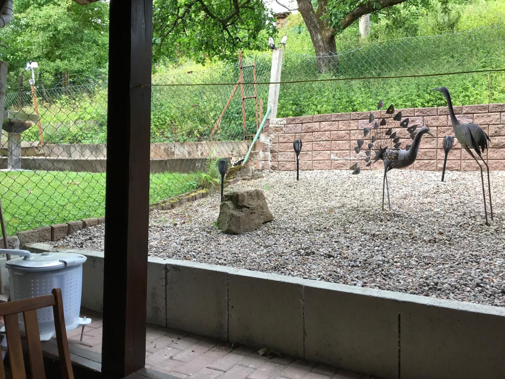 Monteur &,Geschaeftsreisen Stay Gunsterode Exteriör bild